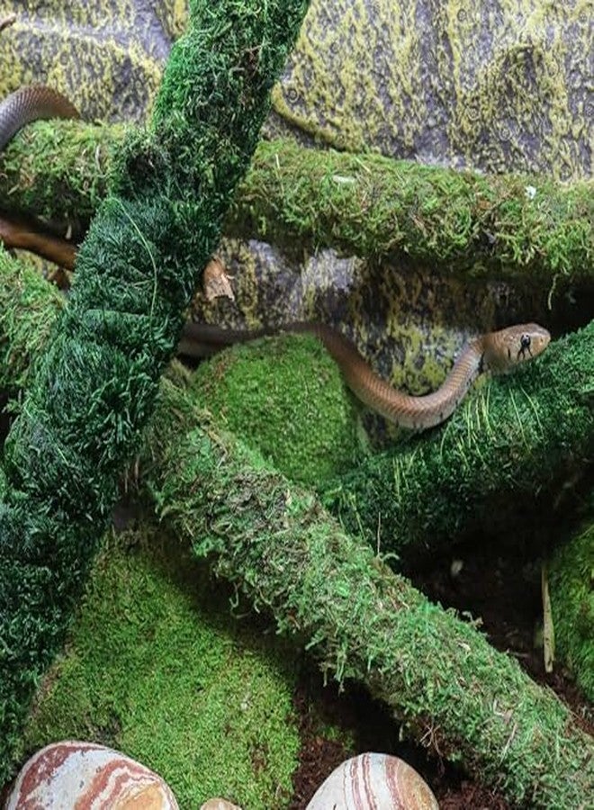 Galapagos (22210) Mossy Perch for Aquarium, 24", Fresh Green - Image 3